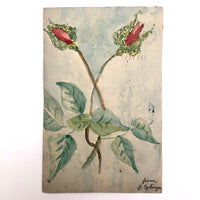 Set of Three 1907 Handmade Floral Watercolor Postcards