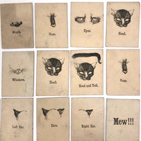 Rare, Curious Victorian Parts of a Cat Card Game - 51 Cards