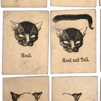 Rare, Curious Victorian Parts of a Cat Card Game - 51 Cards