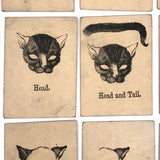 Rare, Curious Victorian Parts of a Cat Card Game - 51 Cards
