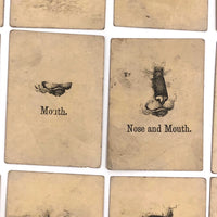 Rare, Curious Victorian Parts of a Cat Card Game - 51 Cards