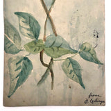 Set of Three 1907 Handmade Floral Watercolor Postcards