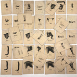 Rare, Curious Victorian Parts of a Cat Card Game - 51 Cards