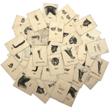 Rare, Curious Victorian Parts of a Cat Card Game - 51 Cards