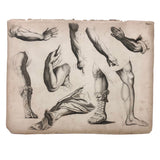 Antique Bookplate Engraving, Drawing Instruction: Arms and Legs