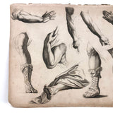 Antique Bookplate Engraving, Drawing Instruction: Arms and Legs