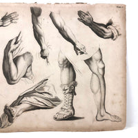 Antique Bookplate Engraving, Drawing Instruction: Arms and Legs