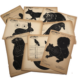 J.C. Higgins Vintage Animal Shooting Targets for Sears Roebuck Co.