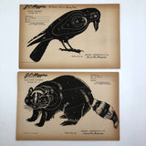 J.C. Higgins Vintage Animal Shooting Targets for Sears Roebuck Co.