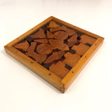Striking Geometric Scrapwood Trivet or Wall Plaque #2