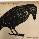 J.C. Higgins Vintage Animal Shooting Targets for Sears Roebuck Co.