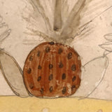 19th Century Three Pineapples Watercolor Drawing in Great Period Frame
