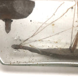 Old Ship in a (Large) Bottle Sailor's Whimsy