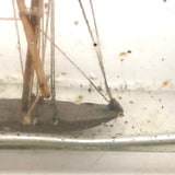 Old Ship in a (Large) Bottle Sailor's Whimsy