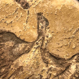 Folk Art Pyrographed Flying Pheasant on Fungus Conk