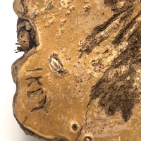 Folk Art Pyrographed Flying Pheasant on Fungus Conk