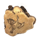 Folk Art Pyrographed Flying Pheasant on Fungus Conk