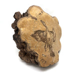 Folk Art Pyrographed Flying Pheasant on Fungus Conk