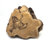 Folk Art Pyrographed Flying Pheasant on Fungus Conk