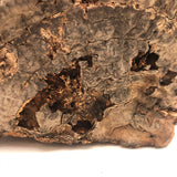 Folk Art Pyrographed Flying Pheasant on Fungus Conk