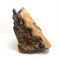 Folk Art Pyrographed Flying Pheasant on Fungus Conk