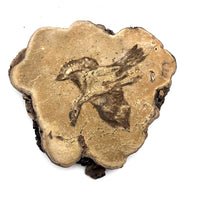 Folk Art Pyrographed Flying Pheasant on Fungus Conk