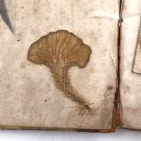 Charles Wilet's 1846 English Grammar Book with Drawings