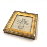 Antique Pencil Drawing of Louse in Lemon Gold Frame