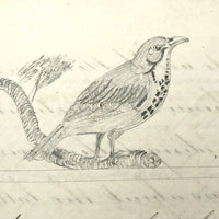 Samuel Gifford 1831 Writing and Calligraphy Practice School Notebook