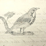 Samuel Gifford 1831 Writing and Calligraphy Practice School Notebook