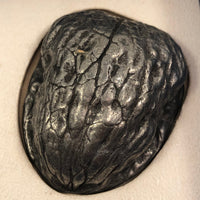 Pewter Towle Shell Game in Original Box