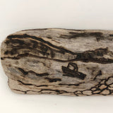 Pyrography Seascape on Driftwood with Lighthouse and Boats