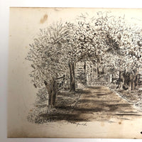 Trees Framing Gate 1880s British Pen and Ink Drawing