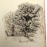 Tree Studies, British, c. 1880s
