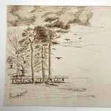 Tree Studies, British, c. 1880s
