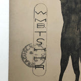 A.O.C Secret Society Emblem 1909 Hand-drawn Postcard