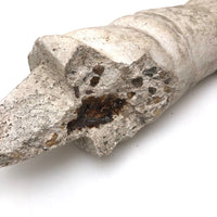 Old Cast Concrete Arm Fragment