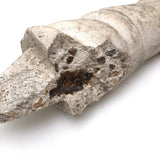 Old Cast Concrete Arm Fragment