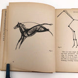 How to Draw Horses by John Skeaping, Fourth Impression July 1943