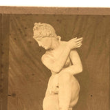 Early Italian Stereoview of Grecian Venus,  Liberia Spitihover, Rome