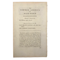 1790 Common Gordius (Hair Worm) F. P Nodder Book Plate Engraving