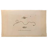 1790 Common Gordius (Hair Worm) F. P Nodder Book Plate Engraving