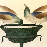 Theorem Style Painting on Paper of Two Birds on Urn