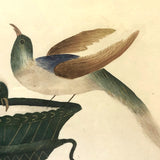 Theorem Style Painting on Paper of Two Birds on Urn