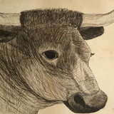 Very Large Antique Pen and Ink Bull Portrait in Period Frame