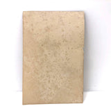 Portrait of Bulldog in Studded Collar, Antique Photograph