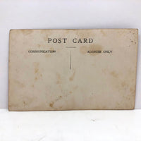 Striking Antique RPPC Family Portrait in Front of Woven Textile