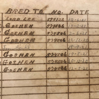1909-1921 Handwritten Horse Breeder's Chart