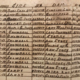 1909-1921 Handwritten Horse Breeder's Chart