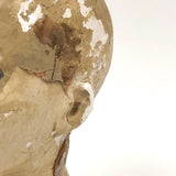 Antique Hand-painted Polychrome Plaster Head